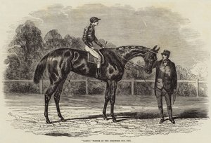 Nancy, Goodwood Kupasını Kazanan, 1851