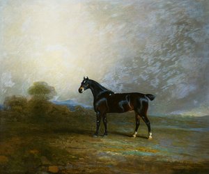 Bembo, Charles Shuttleworth