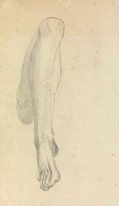 Bir Bacağın Anatomik Çalışması by Benjamin Robert Haydon