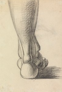 Ayak Topuğunun Anatomik Çalışması