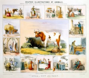İnek, c1850 by Benjamin Waterhouse Hawkins