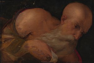 Bir Adamın Portresi, 16. yüzyıl. by Benvenuto Tisi da Garofalo