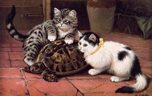 Kedi kartpostalı (renkli litho)