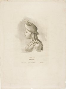 Arts et Métiers