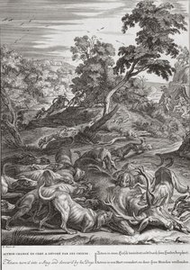 Acteon bir Geyik'e dönüştü ve köpekleri tarafından yutuldu, 1731 by Bernard Picart