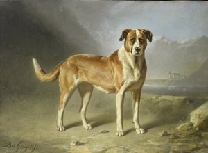 Bir Aziz Bernard Köpeği by Bernard te Gempt