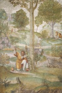 Cephalus Mücevherleri Gizliyor by Bernardino Luini
