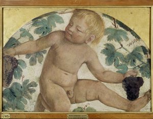Hasat putti - Pergola altında putto, c.1514 (gemide taşınan müstakil fresk) by Bernardino Luini