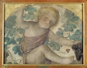 Hasat putti - Pergola altında putto, c.1514 (gemide taşınan müstakil fresk) by Bernardino Luini