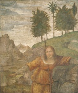Procris, Cephalus