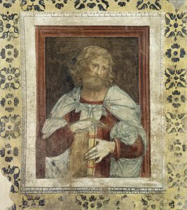Peygamber by Bernardino Luini
