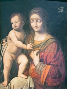 Bakire ve Çocuk by Bernardino Luini