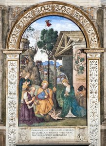 Pinturicchio (Bernardino di Betto) (1454-1513) 1484-1492 Santa Maria del Popolo Bazilikası (Santa Maria del Popolo Kilisesi), Cappella Basso della Rovere Roma İtalya tarafından Çobanların Hayranlığı Fresk