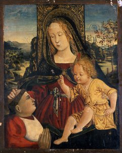 Madonna ve Çocuk, bir hayırsever olarak bir Kardinal ile, c.1500 (kavak ağacı üzerinde tempera)
