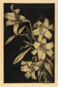  by Bertha E. Jaques