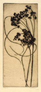  by Bertha E. Jaques
