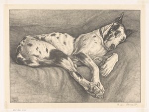 Uyuyan köpek by Bertha van Hasselt (signed by artist)