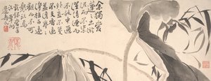 Lotus Yaprakları ve Su Sazlıkları.