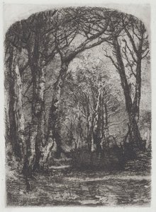 Woods [Bosco], c.1895.