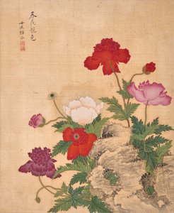  by Bing Yun
