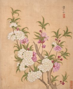  by Bing Yun