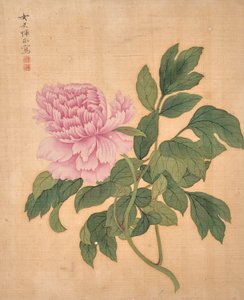  by Bing Yun