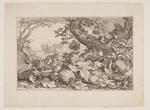  by Boetius Adams Bolswert
