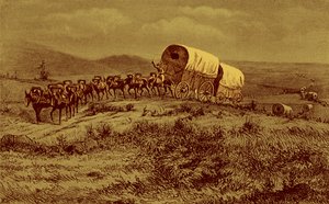 Vahşi Batı - batıya giden katır treni