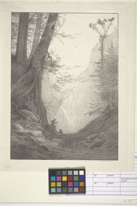 Büyük Sedirler (kağıt üzerine mürekkep, litografi) by Bolton Coit Brown