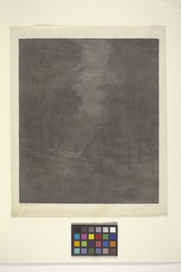 Ayışığı Ormanı (kağıt üzerine mürekkep) by Bolton Coit Brown