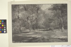 Sierra Woods (kağıt üzerine mürekkep)