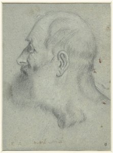 Soldaki profilde sakallı adamın başı by Bonifazio Veronese (attributed to)