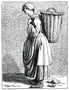 Kabuktaki istiridye!, 1737-1742.