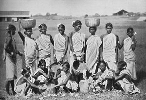 Bir grup Kol kızı, 1902