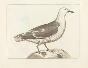 su kuşları by British 19th Century