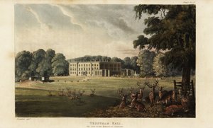 Trentham Hall önünde geyik sürüsü by British School