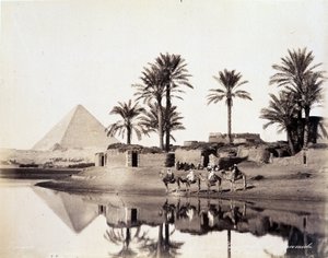 Mısır piramitlerinin eteklerinde su içen develer - 19. yüzyılın sonlarında Zengali kardeşlerin fotoğrafı by Brothers Zangaki