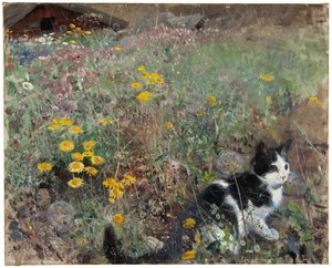 Çiçekli çayırdaki kedi, 1887
