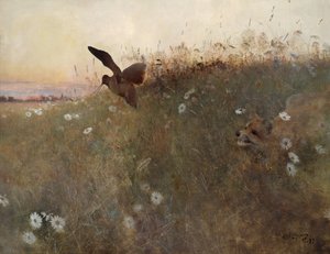 Tilki ve çulluk by Bruno Andreas Liljefors