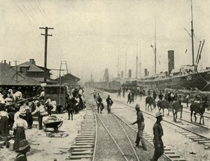 Mahkumlar Serbest Bırakıldı, İspanya-Amerika Savaşı, Haziran 1898, 1899. by Burr McIntosh