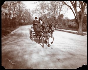 Anna Held ve Florenz Ziegfeld bir at arabası sürüyor, New York, 1904 (gümüş jelatin baskı)