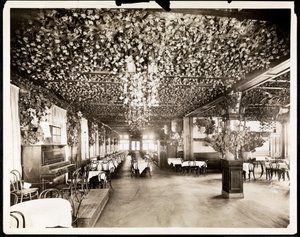 Hotel Dolphin