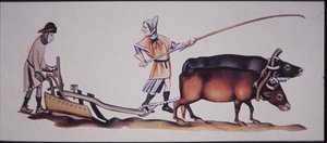 Luttrell Psalter