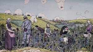 Şarap yetiştiricilerimiz ateş altında hasat etti, 1914