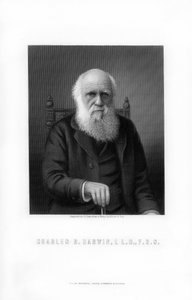 Charles Darwin, İngiliz doğa bilimci, 1899.