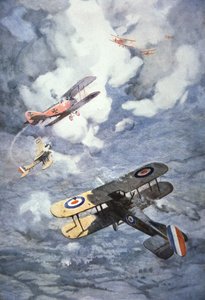 İngiliz ve Alman uçakları by C. Dudley Tennant