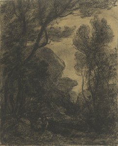 Gece orman manzarası