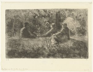 Het bos