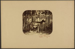  by Camille Silvy