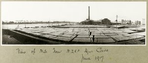 NZMFA Genel Merkezi'nden Nil'in görünümü, Kahire, Haziran 1917 by Capt. Arthur Rhodes